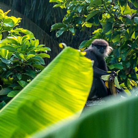 Aknara Rest Hotell Weligama Eksteriør bilde