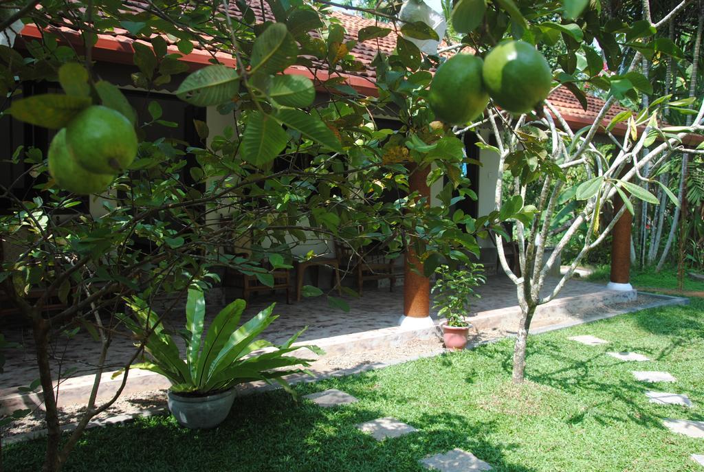 Aknara Rest Hotell Weligama Eksteriør bilde
