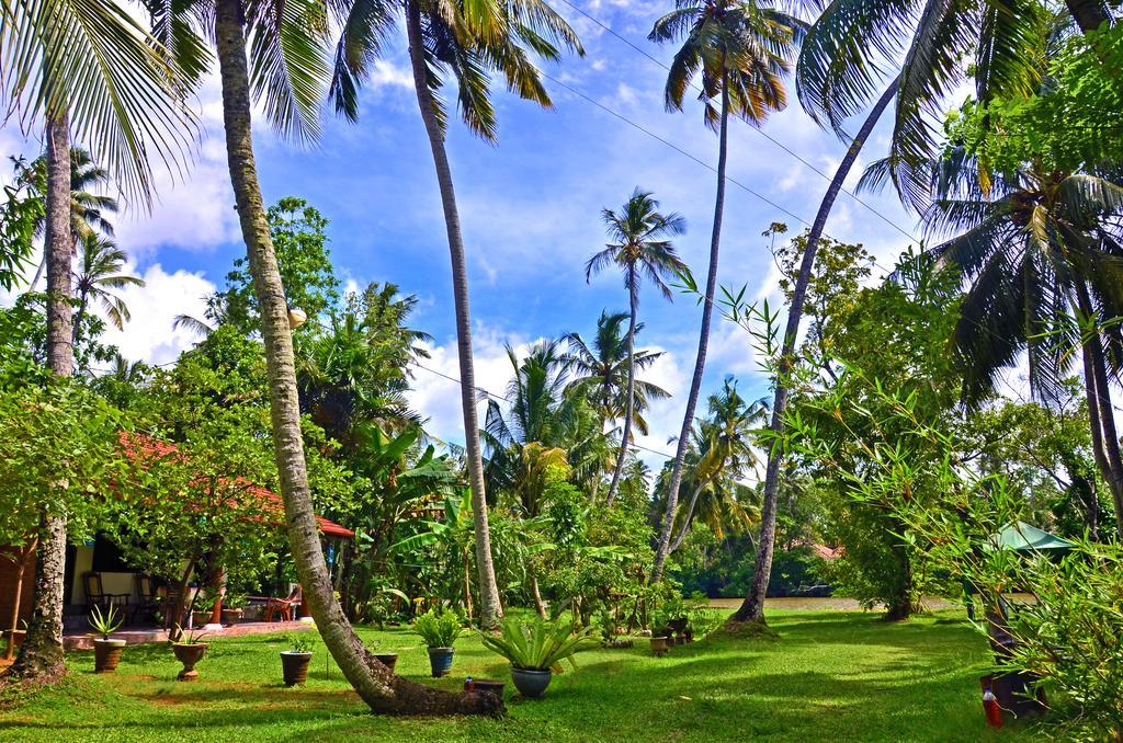 Aknara Rest Hotell Weligama Eksteriør bilde