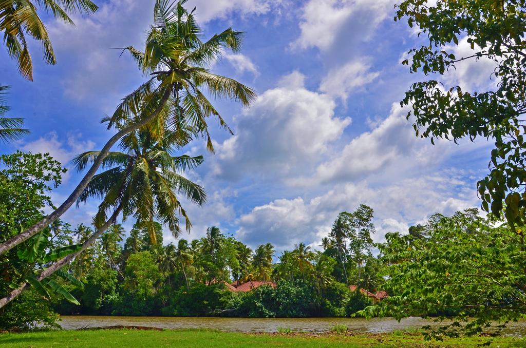 Aknara Rest Hotell Weligama Eksteriør bilde