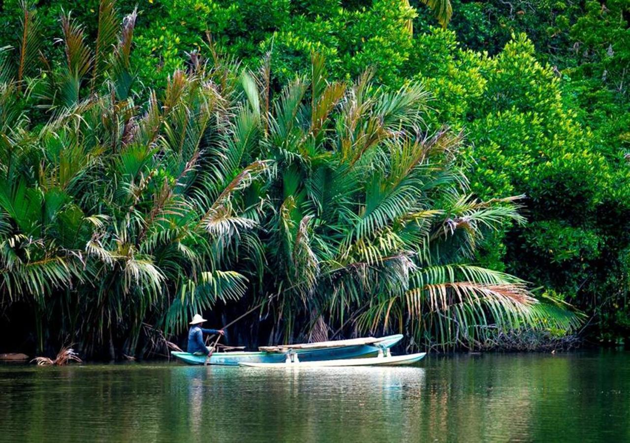 Aknara Rest Hotell Weligama Eksteriør bilde